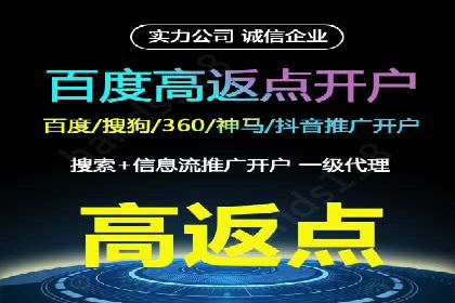 SEO策略在电商平台的成功应用案例